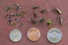 016-Flies-091723.jpg
