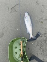 IMG_2295.jpeg