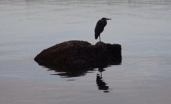 IMG_4803.jpeg