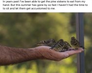 IMG_3431.jpeg