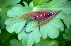 IMG_4030.jpeg