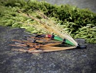IMG_4009.jpeg