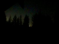 IMG_4432.jpeg IMG_4432.jpeg