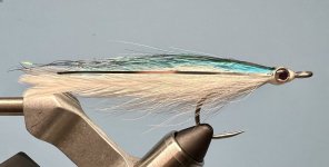IMG_1751.jpeg