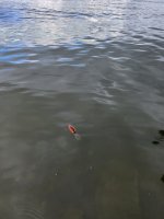 20230920_082845.jpg