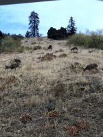 IMG_6322.jpeg