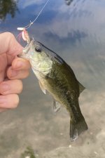 IMG_2331.jpeg