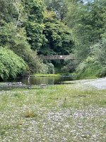 A960D250-1D0D-4D20-BC8B-84D10D380EA0.jpeg