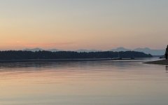 41B57E09-AC15-44C0-82CE-B988C502C1F9.jpeg 41B57E09-AC15-44C0-82CE-B988C502C1F9.jpeg
