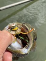 IMG_3448.jpeg
