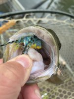 IMG_3439.jpeg