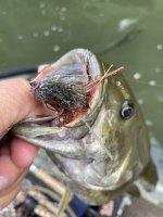 IMG_3431.jpeg