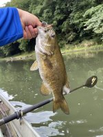 IMG_3430.jpeg