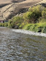 IMG_6382.jpeg