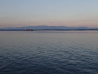 IMG_4834.jpeg