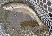 20230922_dryGRHEmuddler.jpg 20230922_dryGRHEmuddler.jpg