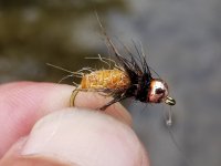 20230922_152624.jpg 20230922_152624.jpg
