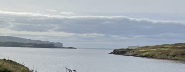 IMG_6504.jpeg