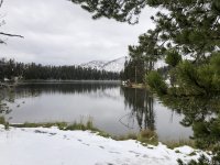 IMG_6394.jpeg