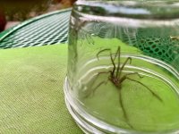 IMG_3944.jpeg