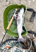 IMG_3285.jpeg