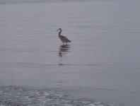 IMG_4868.jpeg IMG_4868.jpeg