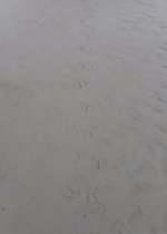 IMG_4876.jpeg IMG_4876.jpeg