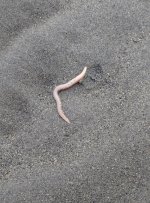 IMG_4878.jpeg IMG_4878.jpeg