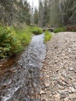 IMG_1179.jpeg