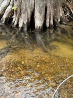 IMG_1180.jpeg