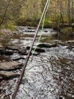 IMG_1183.jpeg