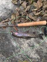 IMG_1186.jpeg