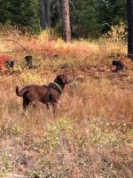 IMG_1195.jpeg