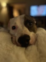 IMG_3582.jpeg