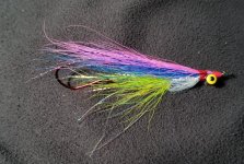 20230925_102949.jpg