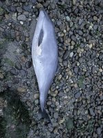 IMG_6502.jpeg