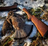 grouse.jpg