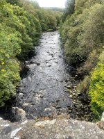 IMG_6546.jpeg