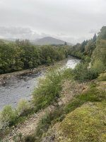 IMG_6549.jpeg