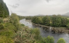 IMG_6550.jpeg