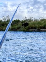 IMG_2910.jpeg
