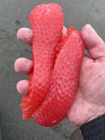 IMG_1904.jpeg