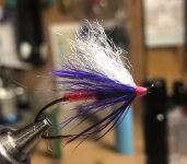 IMG_7313.jpeg