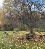 IMG_2892.jpeg