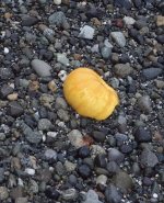 IMG_4958.jpeg