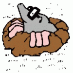 mole-topo.gif mole-topo.gif