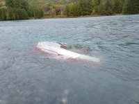 Sunken boat.jpg