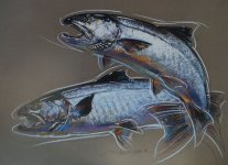 silver_salmon_1024x1024.jpg silver_salmon_1024x1024.jpg