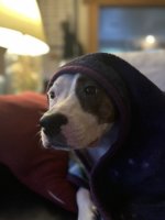 IMG_3599.jpeg