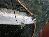 IMG_4913.jpeg IMG_4913.jpeg
